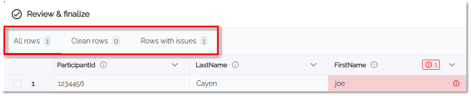 SST Import Data Rows with Issues.png